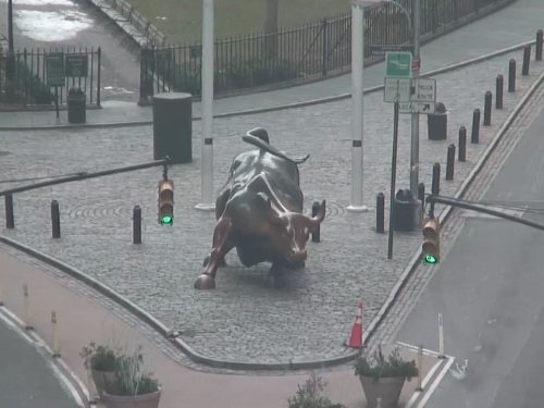 Charging Bull, New York live cam