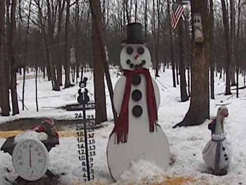 Michigan Snowman, Gaylord live cam