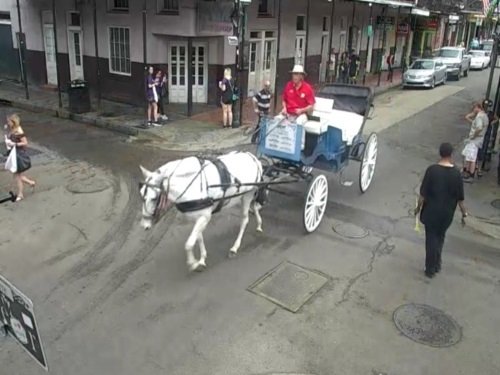 Bourbon Street, New Orleans live cam