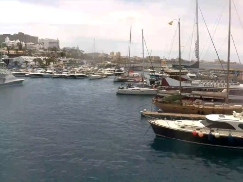 Puerto Colon Harbor, Costa Adeje live cam