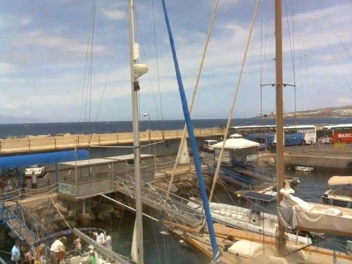 Royal Delfin, Costa Adeje live cam