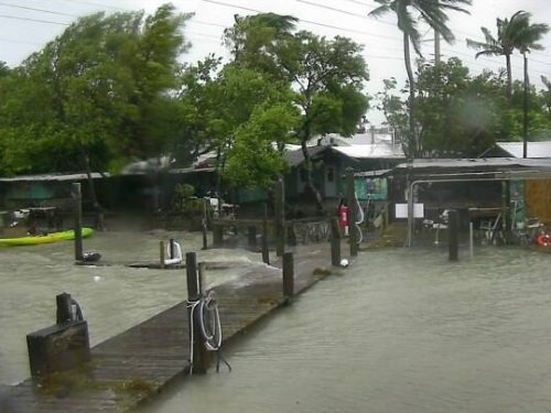 Robbie's, Islamorada live cam